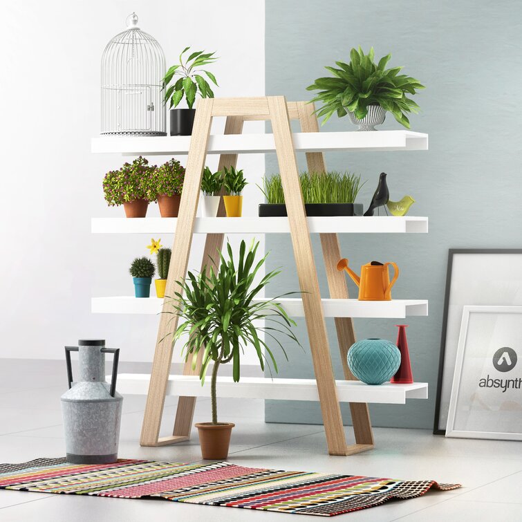 A frame deals ladder bookcase